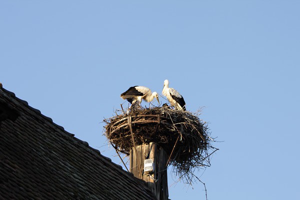 1i_historische_Staedte